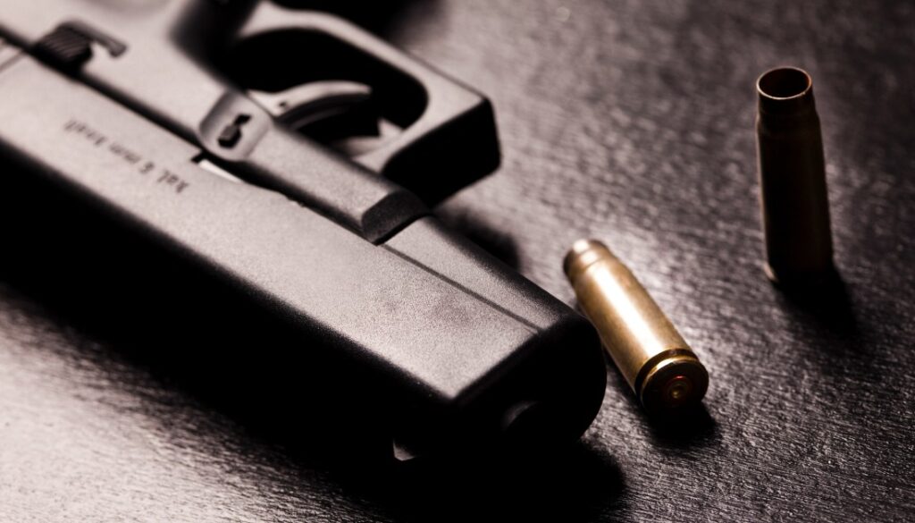 11.-Aligning-Firearms-HaimanHogue 11.-Aligning-Firearms-HaimanHogue