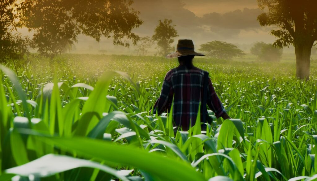 13.-Aligning-Farm-and-Ranch-HaimanHogue